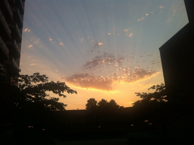 I looked over walking to a friends place and saw this!